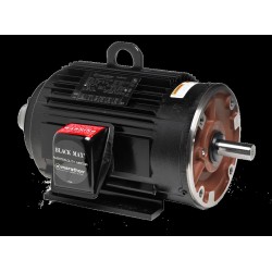 Yaskawa MTRY592 BlackMAX Series AC Motor | High Torque & Efficiency