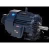 Yaskawa MTRY525 BlueMAX Series AC Motor | High-Efficiency Industrial Motor